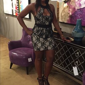 Bodycon Black Lace Detail Dress